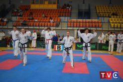 XXX Mistrzostwa Polski Seniorów w Taekwondo w Ciechanowie