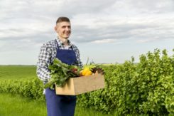 Termin naboru wniosków o przyznanie pomocy na operacje typu 